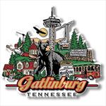 CTY119 Gatlinburg Tennessee Magnet